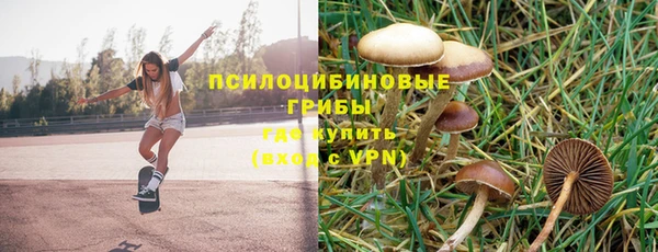 мдпв Нефтекумск