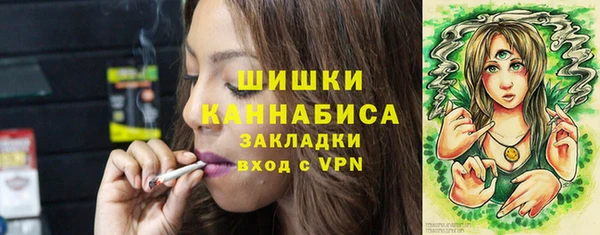 PSILOCYBIN Новозыбков