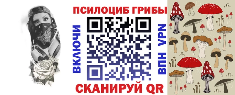 blacksprut как войти  Новоульяновск  Псилоцибиновые грибы мицелий 